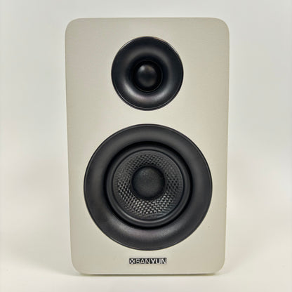 Sanyun SW-208 Bluetooth 5.0 Bookshelf Speaker White