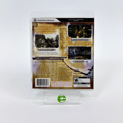 Demon's Souls (Sony PlayStation 3 PS3, 2009)