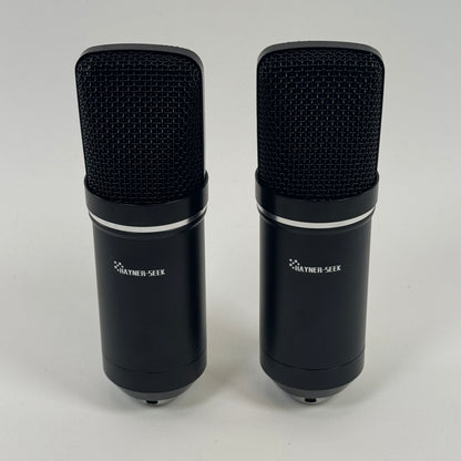 Hayner-Seek Podcast Equipment Bundle for 2  P900